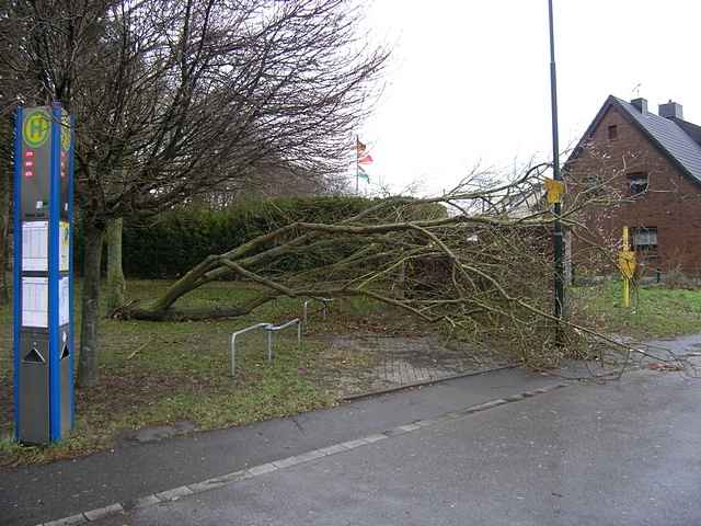 Gelnder beschdigt