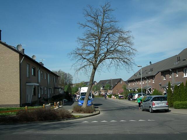 Baum muss gefllt werden