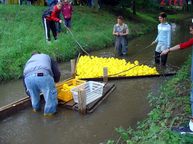 Entenrennen