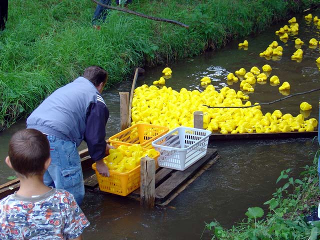 Entenrennen