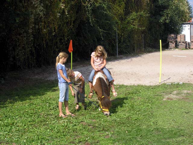 Unser Dorf spielt Fuball 2005