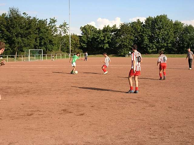 Unser Dorf spielt Fuball 2006