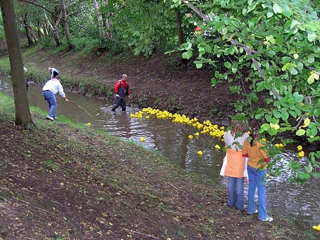 Entenrennen 2006