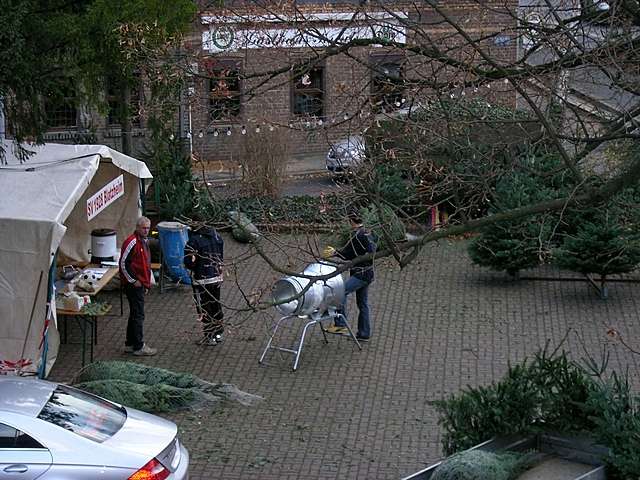 Weihnachtsbume vom SV