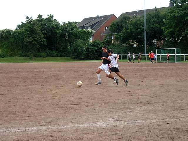 Unser Dorf spielt Fuball 2008