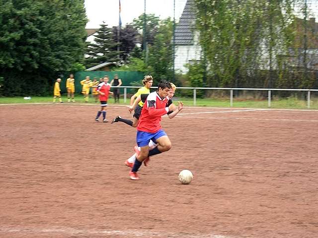 Unser Dorf spielt Fuball 2008