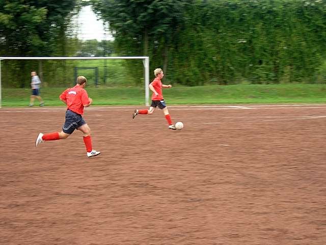 Unser Dorf spielt Fuball 2008