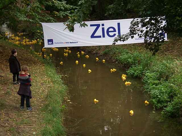 Entenrennen 2012