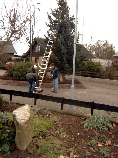 Tannenbaum An der Mohle