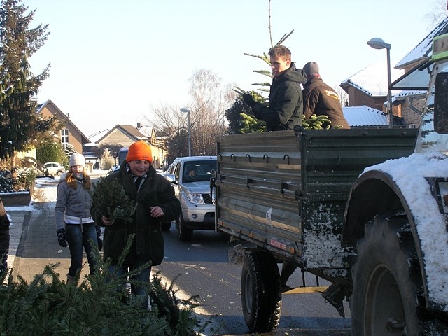 Weihnachtsbaum-Sammlung 2009