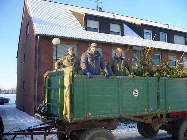 Weihnachtsbaum-Sammlung 2009