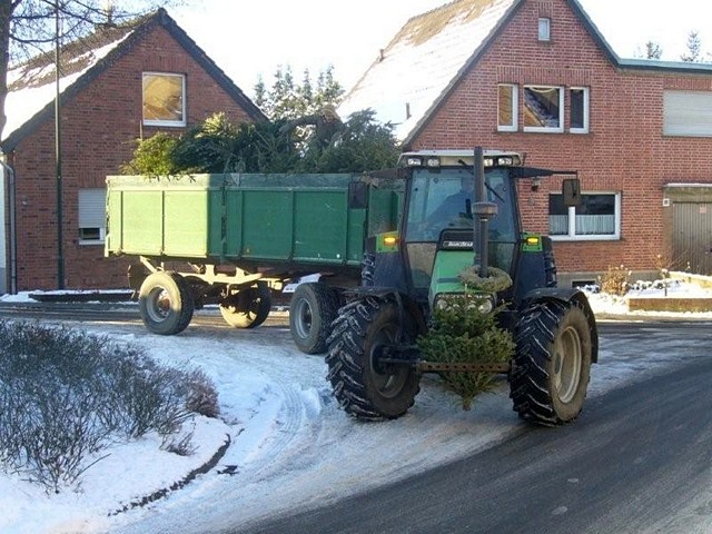 Weihnachtsbaum-Sammlung 2009