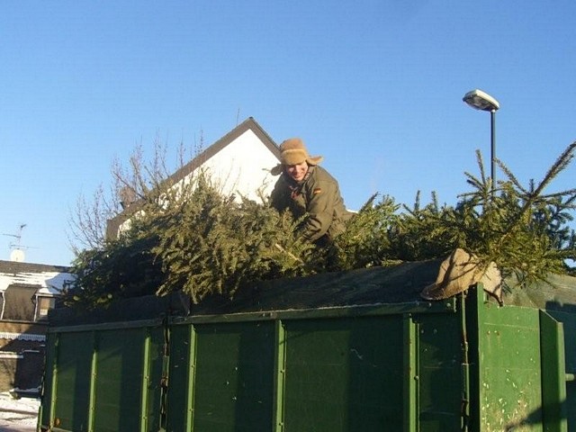 Weihnachtsbaum-Sammlung 2009