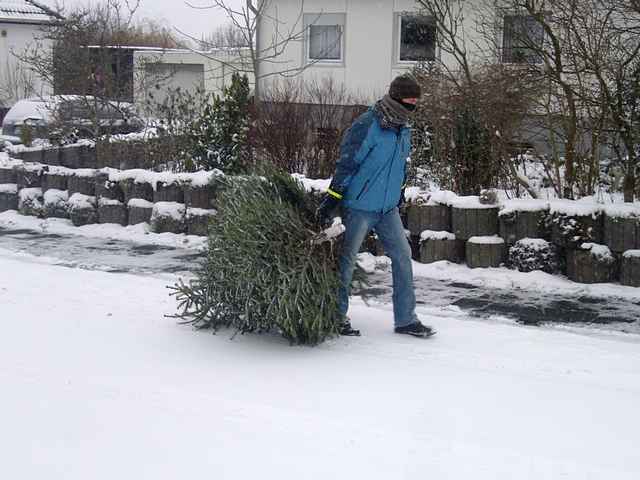 Weihnachtsbaum-Sammlung 2010