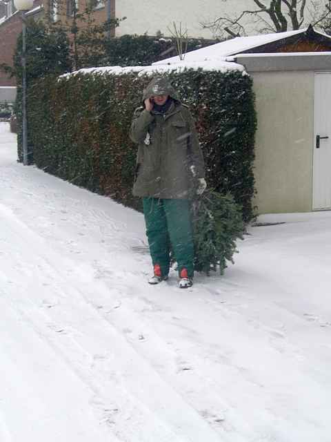Weihnachtsbaum-Sammlung 2010