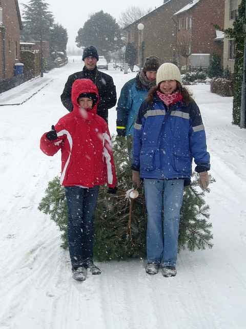 Weihnachtsbaum-Sammlung 2010