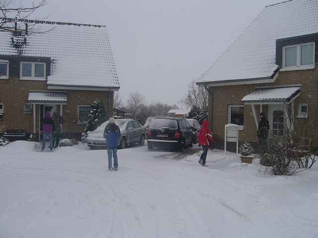 Weihnachtsbaum-Sammlung 2010