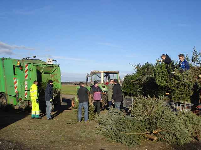 Weihnachtsbaum-Sammlung 2014