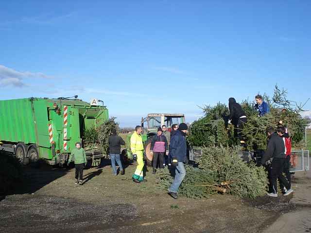 Weihnachtsbaum-Sammlung 2014