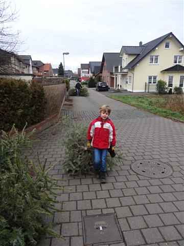 Weihnachtsbaum-Sammlung 2014