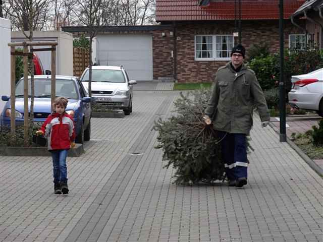 Weihnachtsbaum-Sammlung 2014