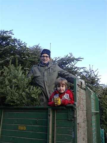 Weihnachtsbaum-Sammlung 2014