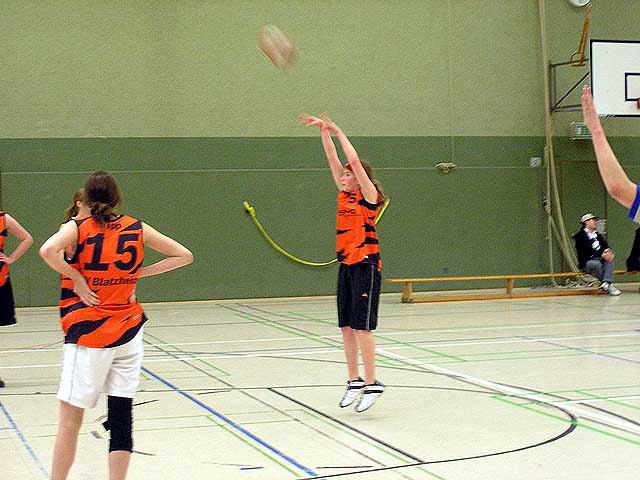 TV-Tigers gegen Zlpich