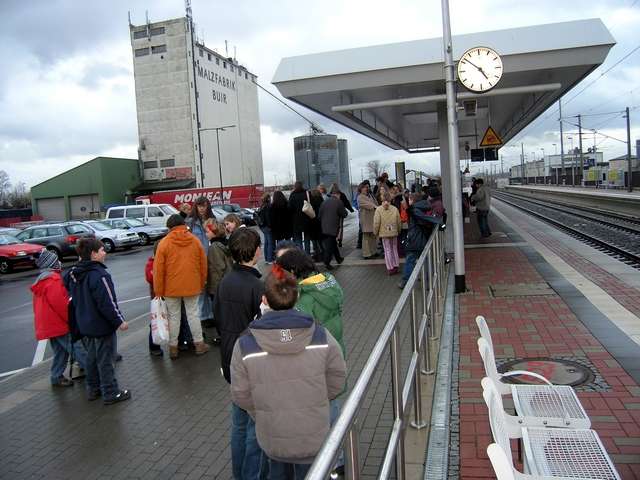 Tigers bei Rhein-Energie