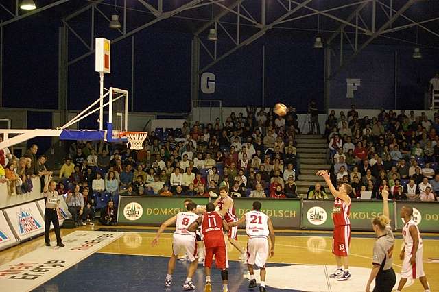 Tigers bei Rhein-Energie