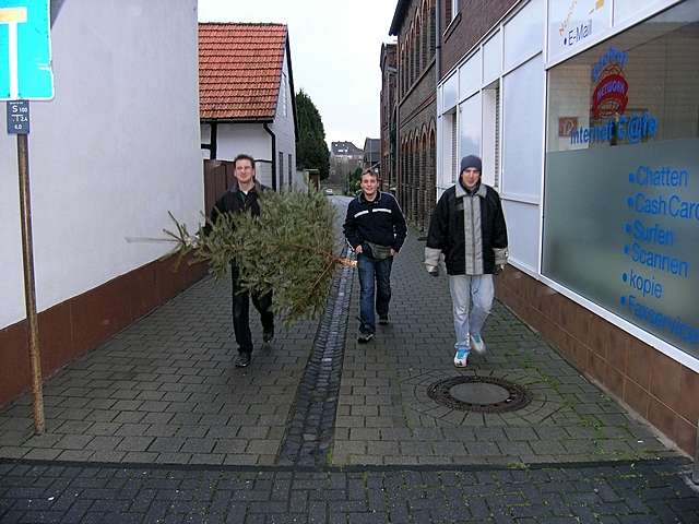 Weihnachtsbaum-Sammlung 2007