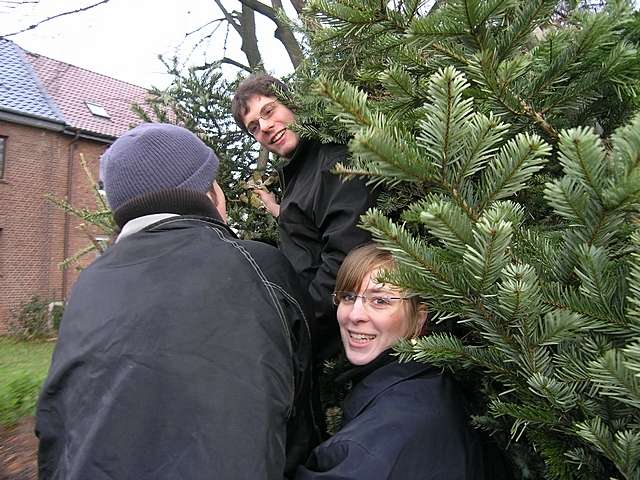 Weihnachtsbaum-Sammlung 2007