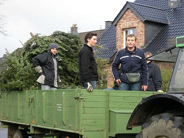 Weihnachtsbaum-Sammlung 2007