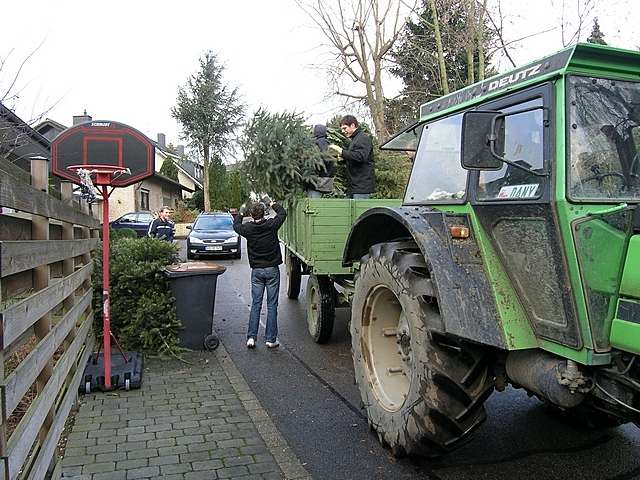 Weihnachtsbaum-Sammlung 2007