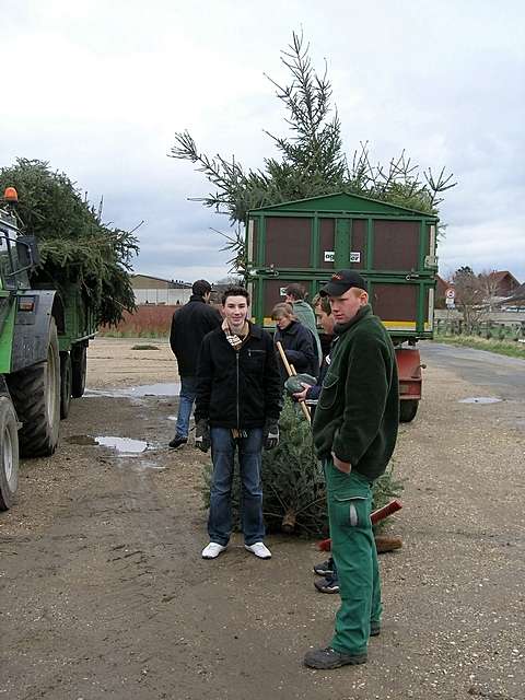 Weihnachtsbaum-Sammlung 2007