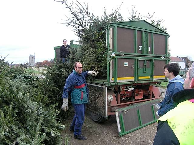 Weihnachtsbaum-Sammlung 2007