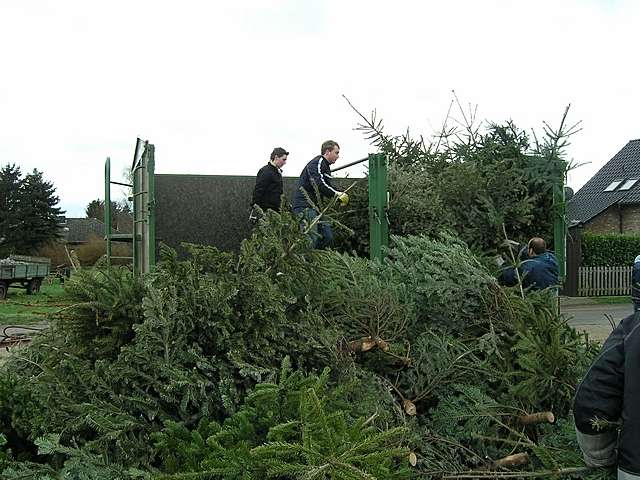 Weihnachtsbaum-Sammlung 2007