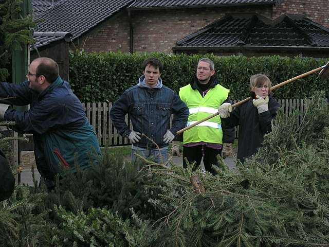 Weihnachtsbaum-Sammlung 2007