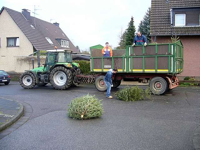 Weihnachtsbaum-Sammlung 2007