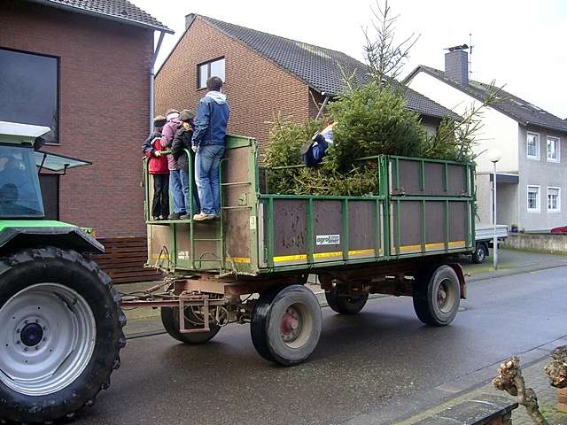 Weihnachtsbaum-Sammlung 2007