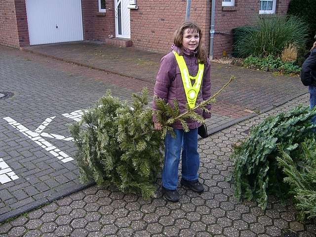 Weihnachtsbaum-Sammlung 2007