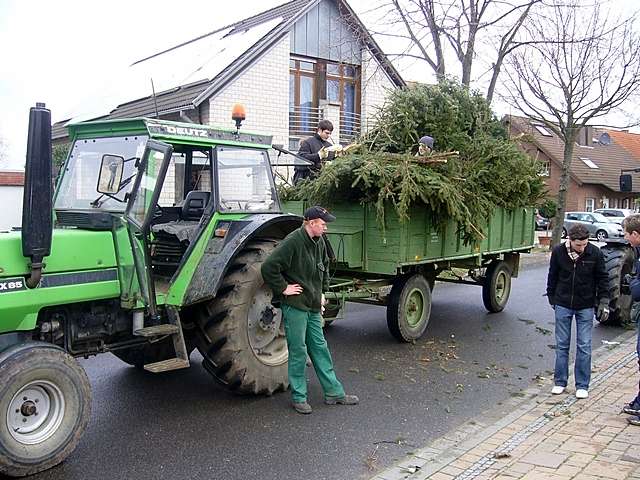 Weihnachtsbaum-Sammlung 2007