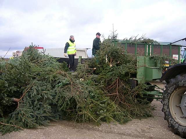 Weihnachtsbaum-Sammlung 2007