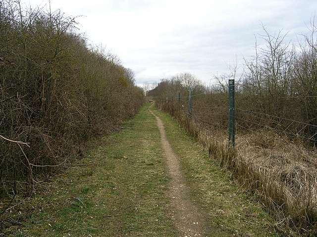 Wanderweg durch die Kiesgrube