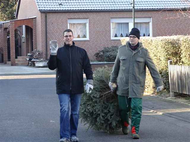 Weihnachtsbaum-Sammlung 2013