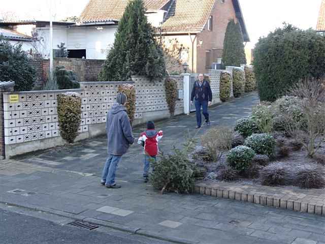 Weihnachtsbaum-Sammlung 2013