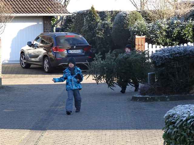 Weihnachtsbaum-Sammlung 2013