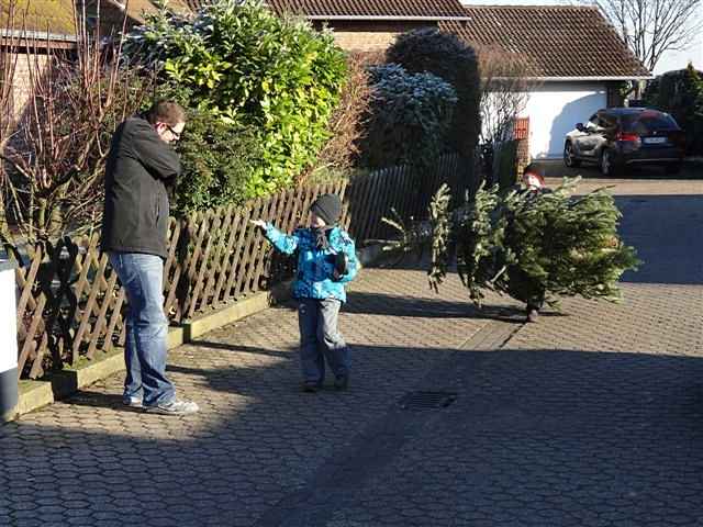 Weihnachtsbaum-Sammlung 2013