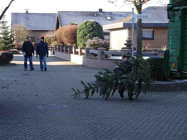 Weihnachtsbaum-Sammlung 2013