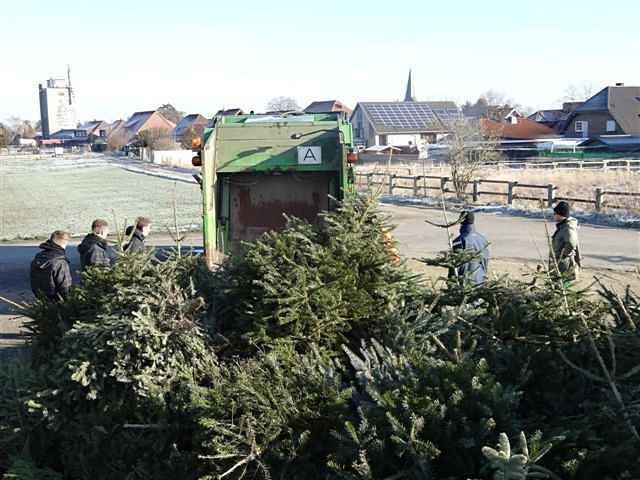 Weihnachtsbaum-Sammlung 2013