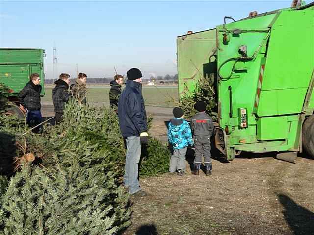 Weihnachtsbaum-Sammlung 2013